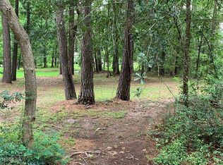 23906 Brushy Trails St, Hockley, TX 77447