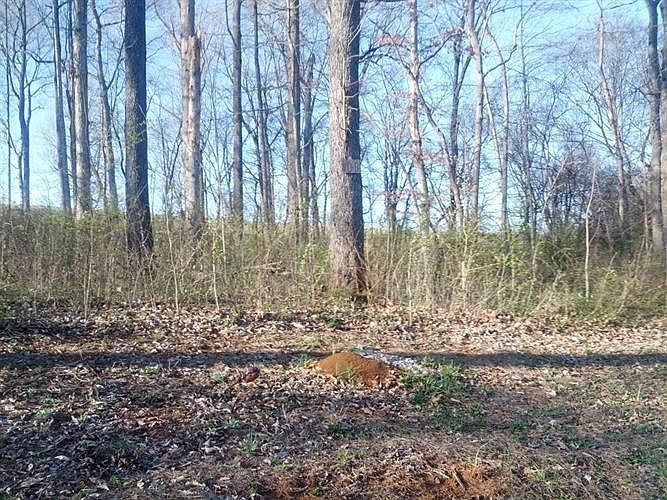 2nd image of 1440 Ellis Woods Loop