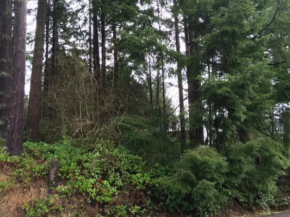 SE Carlesta Ave, Chehalis, WA 98532