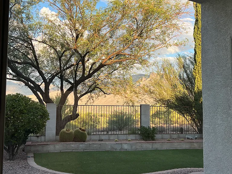 View from the great room window.