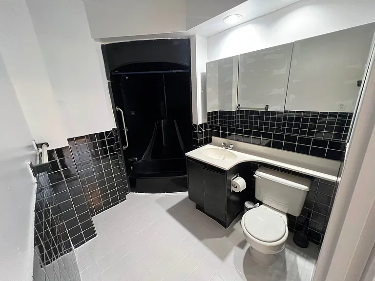 343 W 51st St #2A — Photo 10