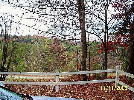 View From Front yard