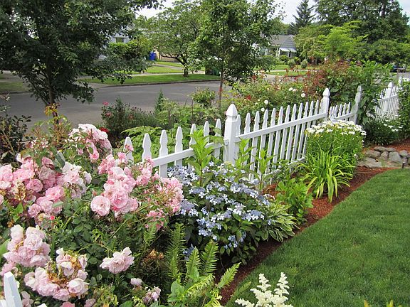 Front yard gardens