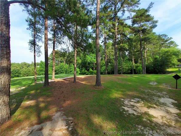 Caddie Ct, Wagram, NC 28396