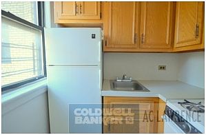 3rd image of 455 W 34th St APT 10D