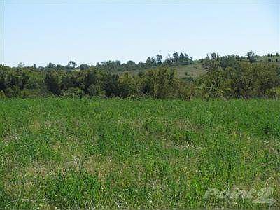 Lush, green alfalfa pastures.