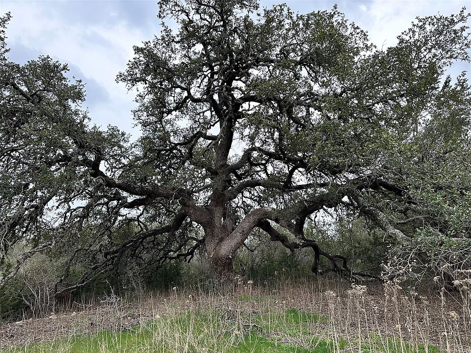 2nd image of 31291 Ranch Road 12