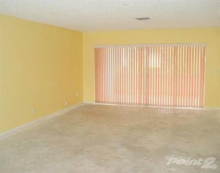 Large Living Room