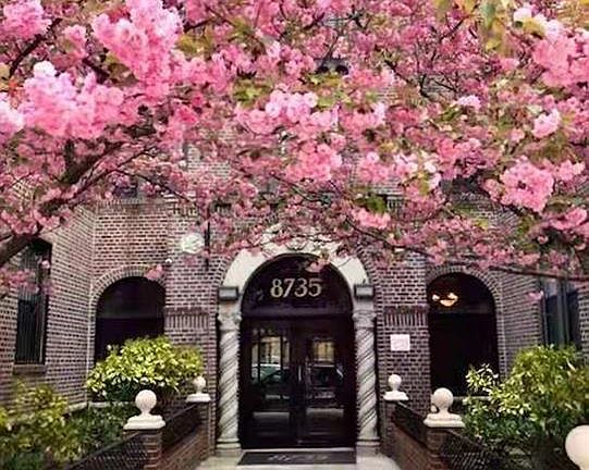 4th image of 8735 Bay Pkwy #51A