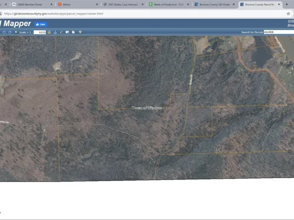 253 Fenesey Rd, Windsor, NY 13865