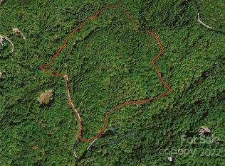 125 Indian Camp Mountain Rd #125, Rosman, NC 28772