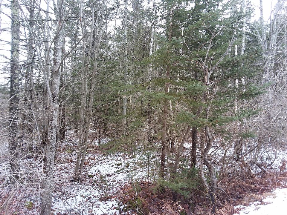 2nd image of 00 Stevens Lane Lane