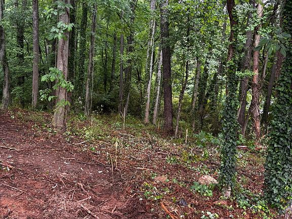2nd image of LOT 35 Ryman Ridge Rd