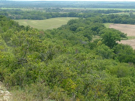 5th image of Hwy 36 Cr 396