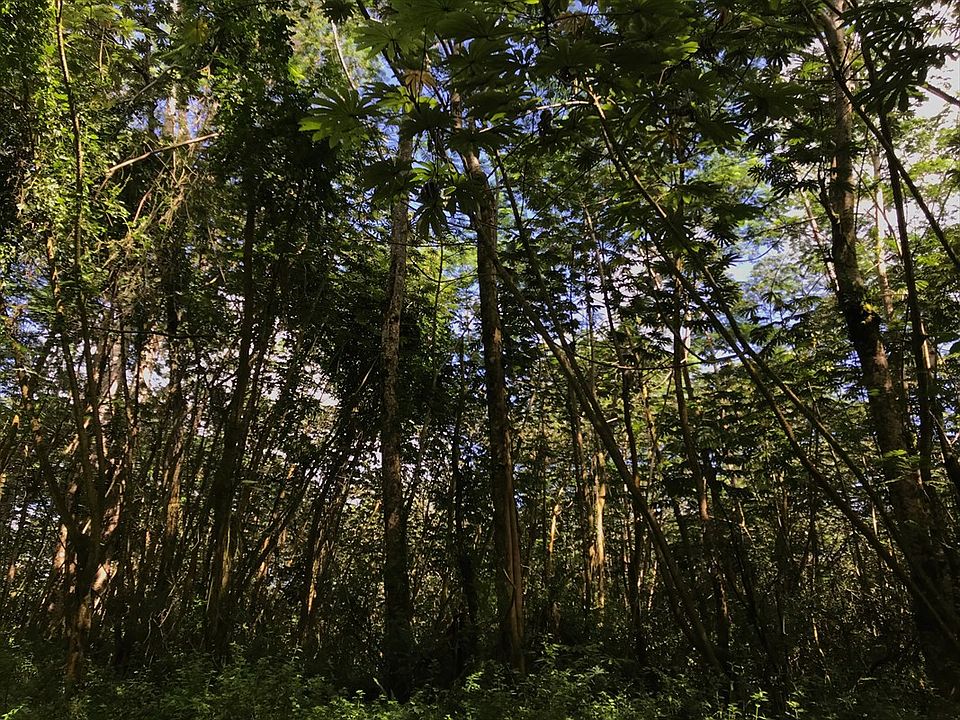 2nd image of Lehua Rd Lot 546