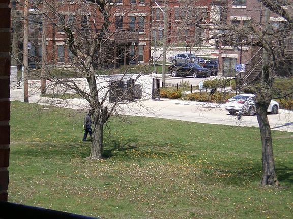 View From Front Balcony