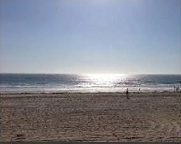 3261 Ocean Front Walk #2 — Photo 43