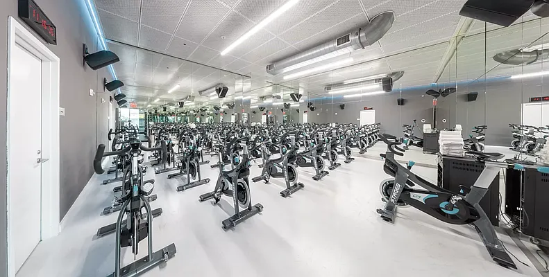 Rented by Platinum Properties | media 65