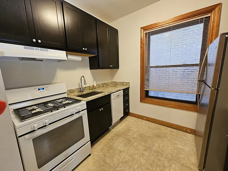 703 W Cornelia Ave #1R — Photo 8