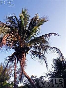 5th image of 3037 Poinciana Cir