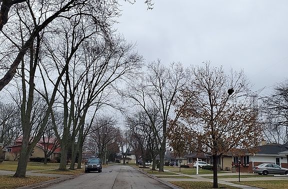 5th image of 593 Bedford Ln
