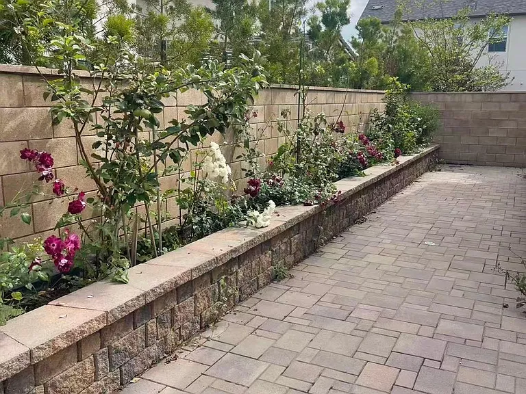 Backyard with apple and peach trees etc.