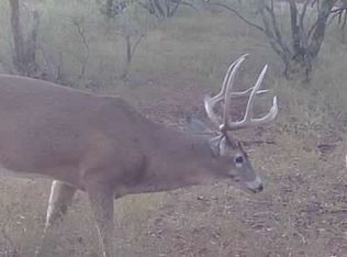 1400 Hammond Rd, Quanah, TX 79252