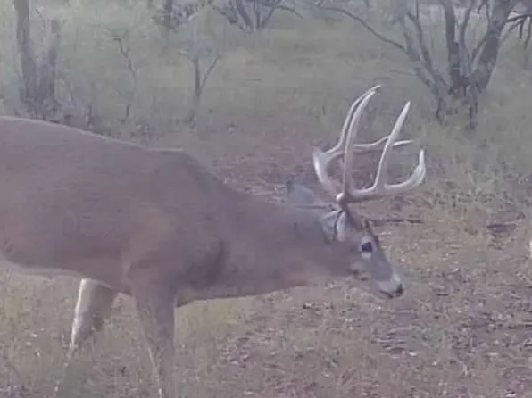 1400 Hammond Rd, Quanah, TX 79252