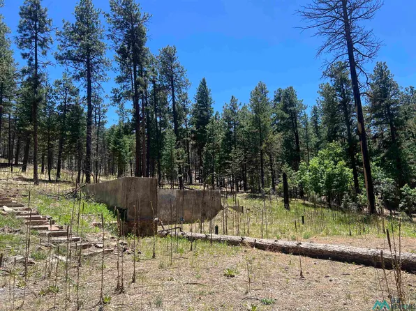 57 Forest Dr E, Rociada, NM 87742