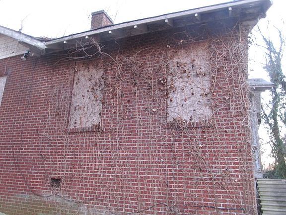 Side view