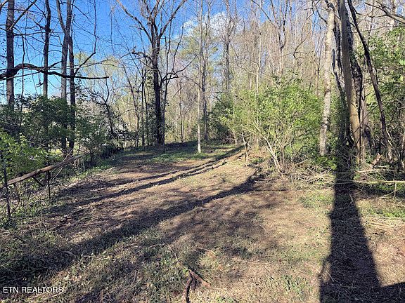 3rd image of 1830 Rhea Rd