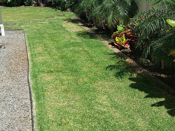 Side yard against the park