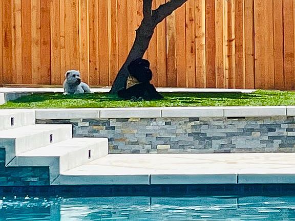 5th image of 519 Aurora Dr
