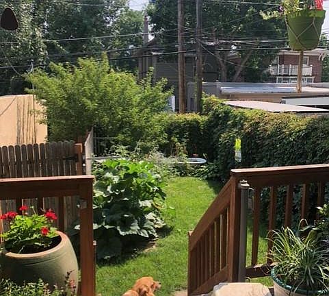 3rd image of 1312 Steele St
