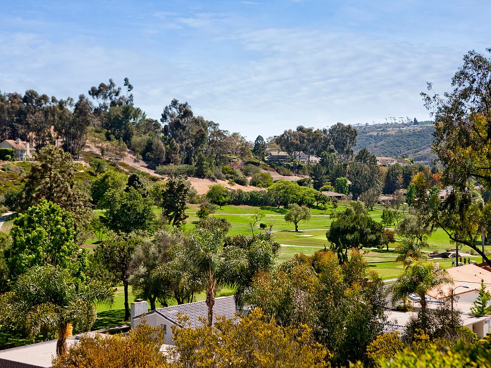 View from the backyard