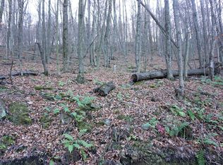 Swart Hollow Rd, Davenport, NY 13750