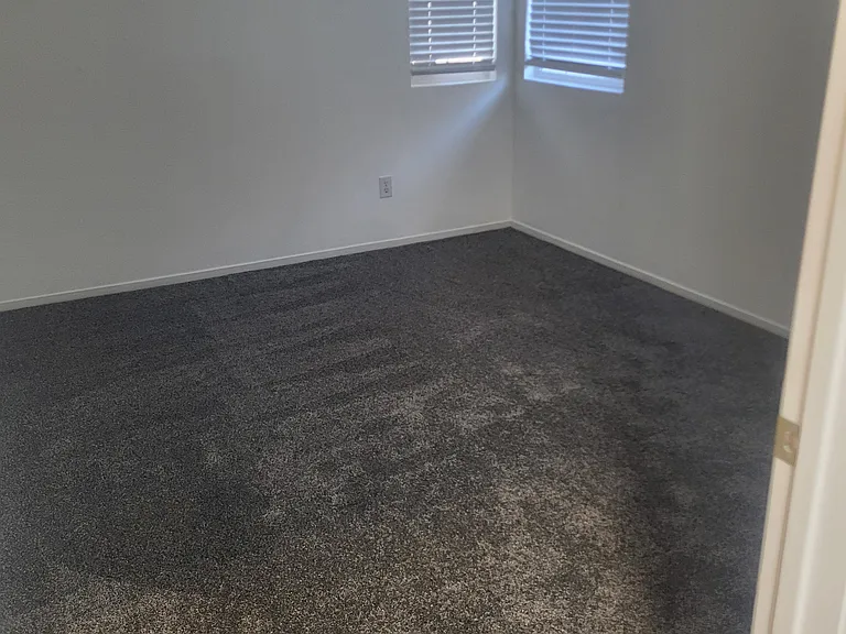 288 Black Amber Way — Photo 7