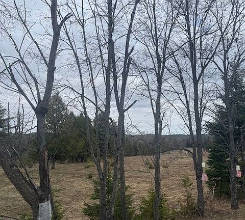 2nd image of LOT 1 Detlor Rd