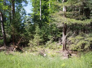 0 N Burr Oak Rd, Lincoln, MI 48742