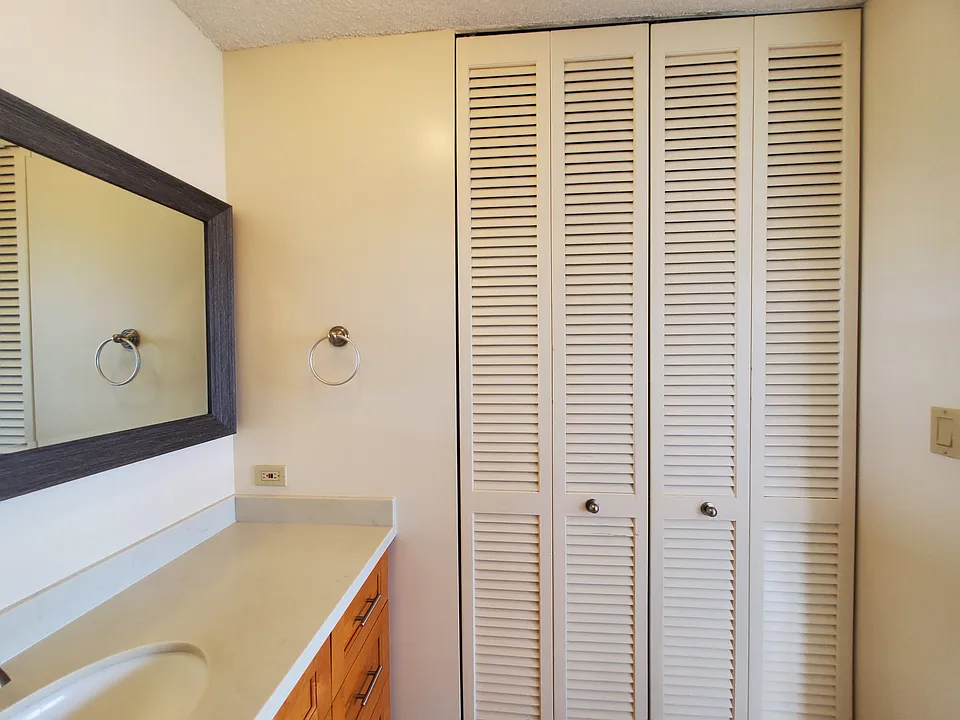 Floor to ceiling closet in en suite primary bathroom