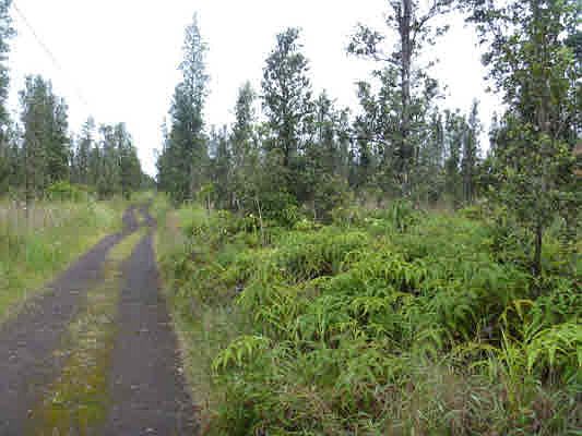 1st image of Road 9 Koloa Maoli Lot 5397