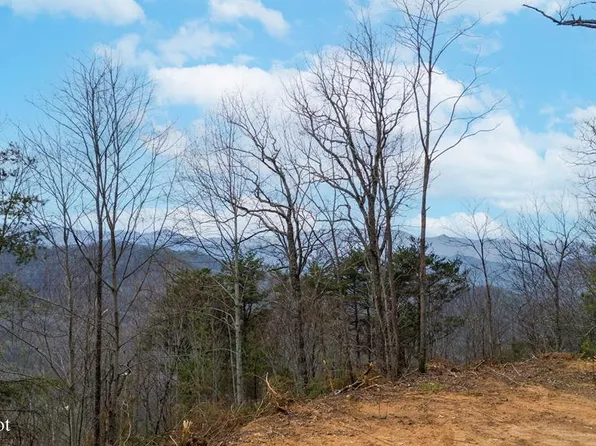 Na Walnut Cv, Bryson City, NC 28713