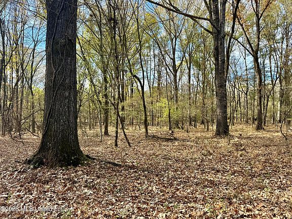 4th image of 560 Pocahontas Rd