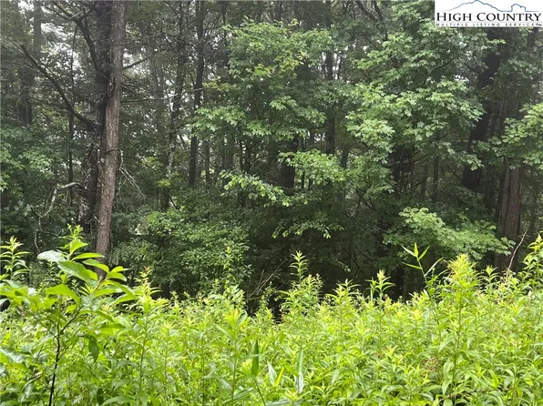 Lot 39 Nikanor Road, West Jefferson, NC 28694