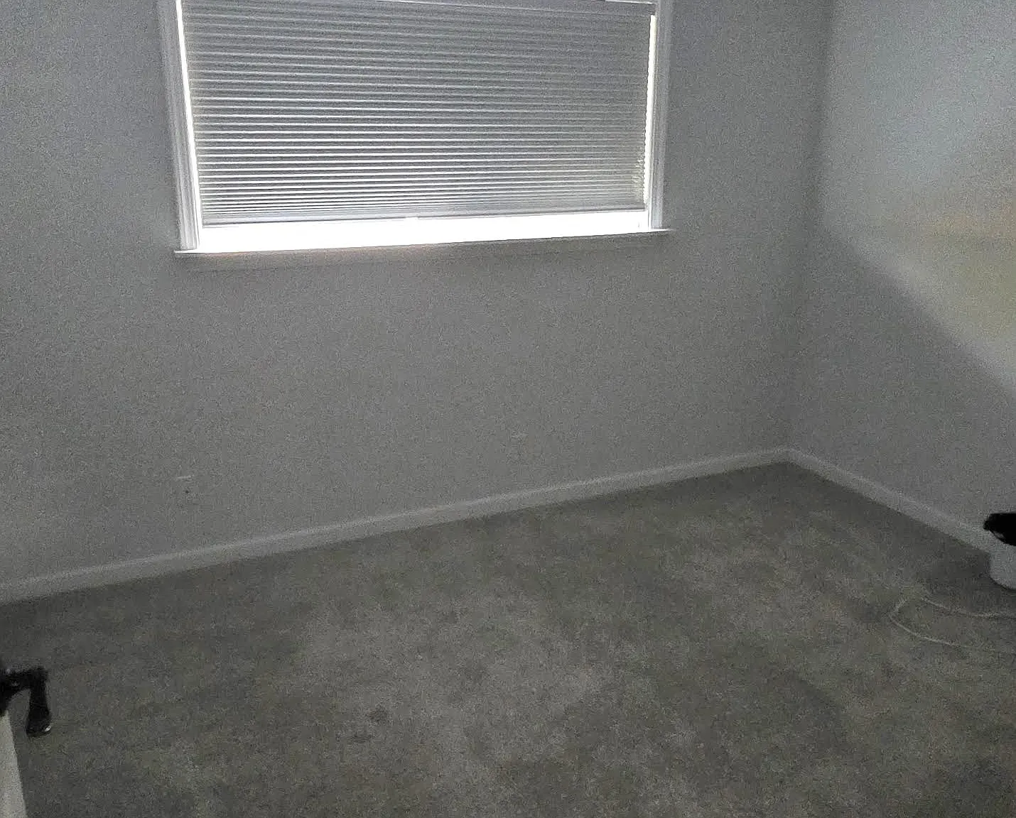 3 bed, 1296 sqft, $2,300 — Photo 3