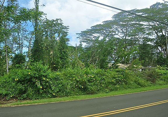 3rd image of N Puni Mauka Loop