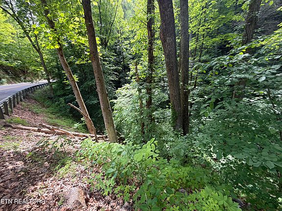 2nd image of Wears Valley Rd