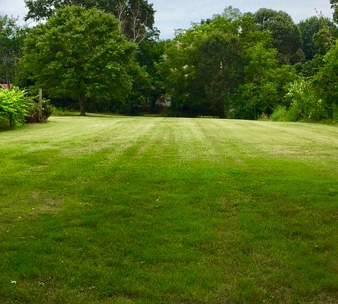 Spacious, flat backyard