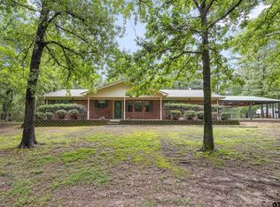 421 County Road 319 E, Tyler, TX 75706