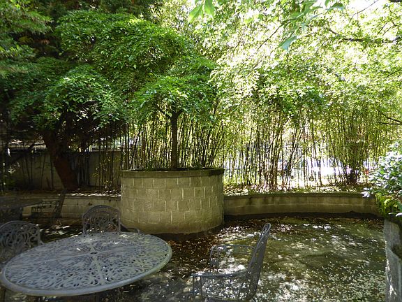 3rd image of 700 E Denny Way Unit 302